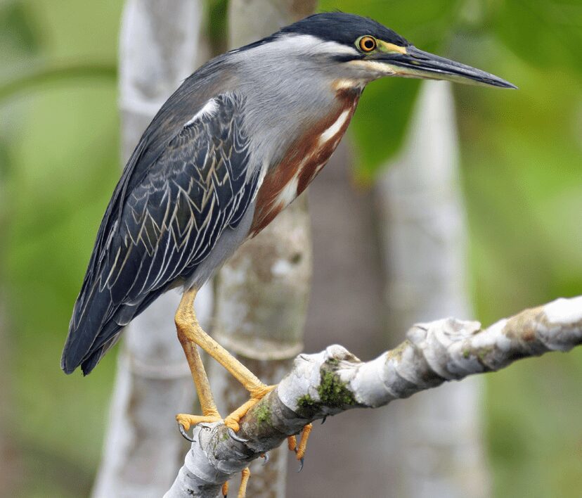 Porno kechki libosda gozal qiz bilan jinsiy aloqa